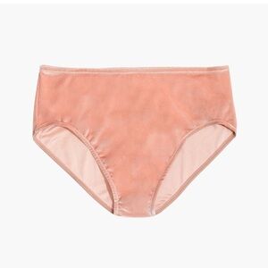NWT Madewell Intimates Pink Velvet High Waist Bikini Underwear Hipster Panties